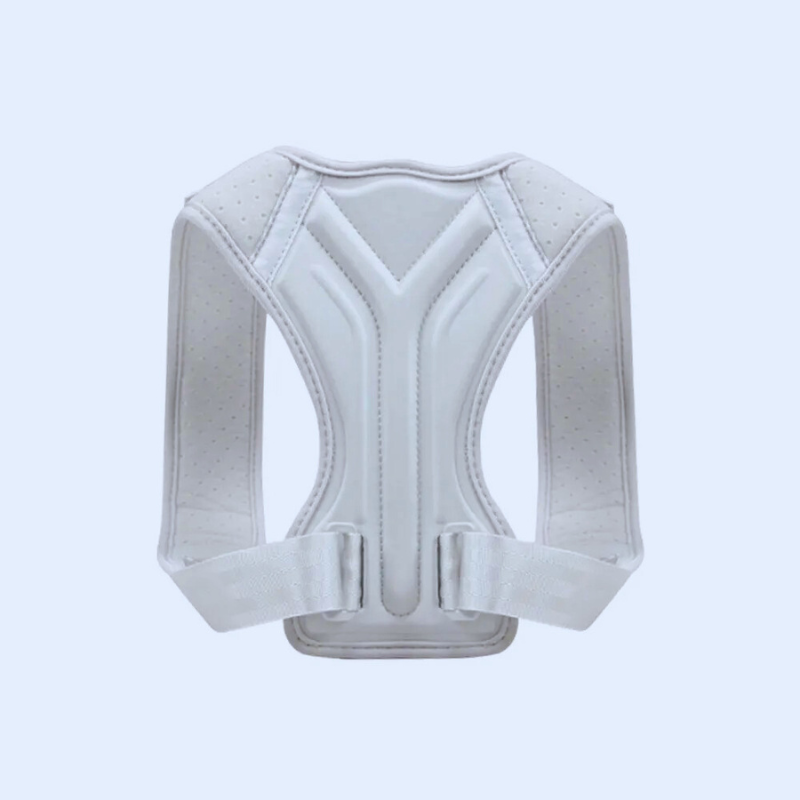 Ceinture-dorsale-Grise