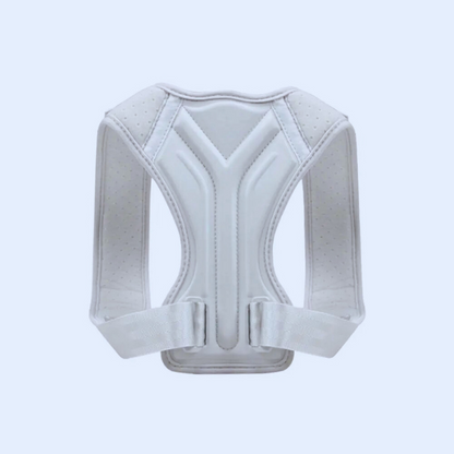 Ceinture-dorsale-Grise